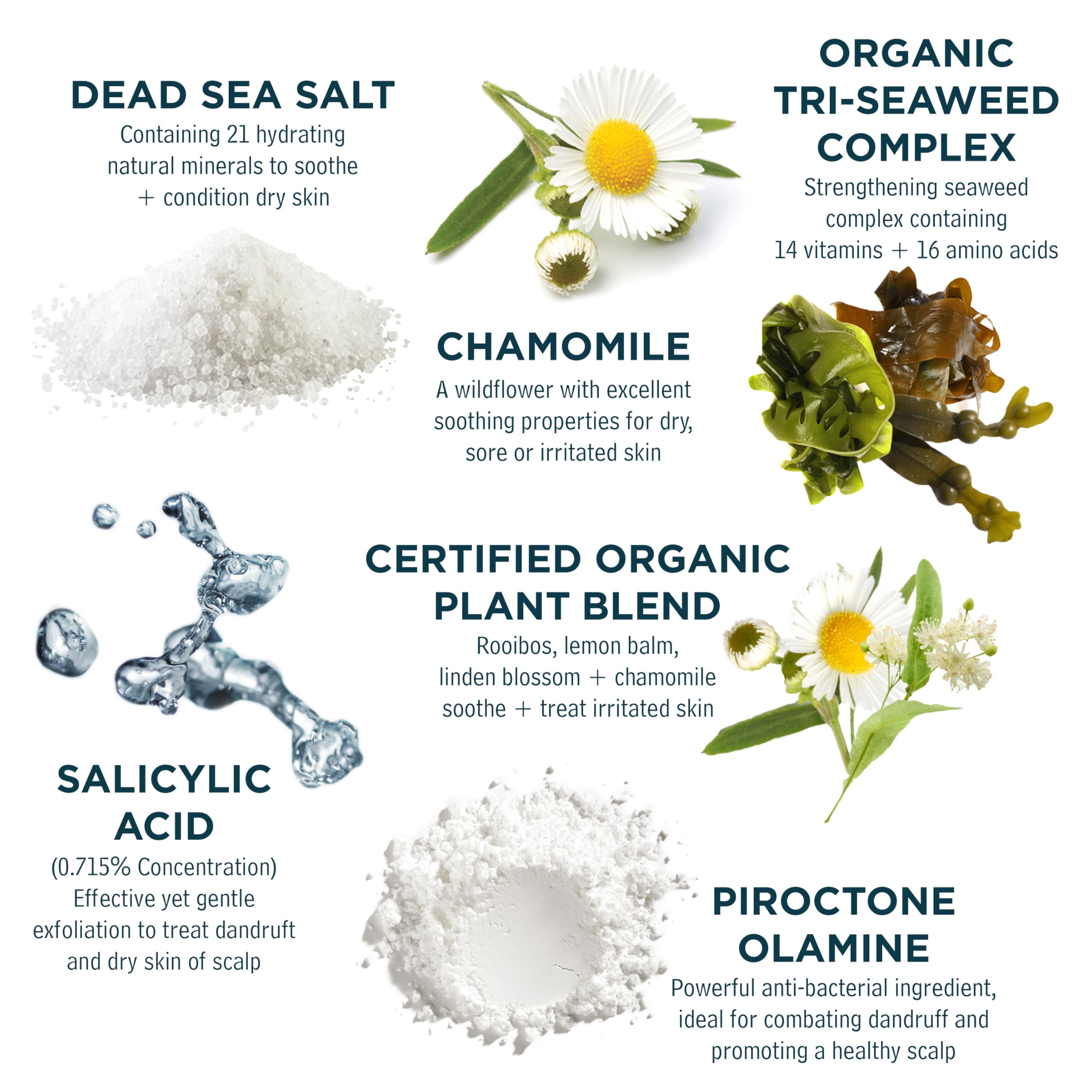 Sea Magik Mineral Shampoo label closeup, organic seaweed blend for nourishment.