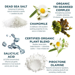 Sea Magik Mineral Shampoo label closeup, organic seaweed blend for nourishment.