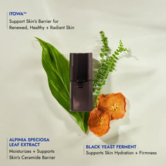 SEKKISEI Black Yeast Ferment ingredient close-up highlight.