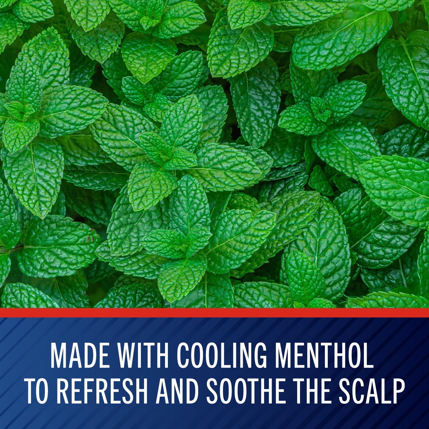 Selsun Blue scalp relief image shows relief from itching and redness.