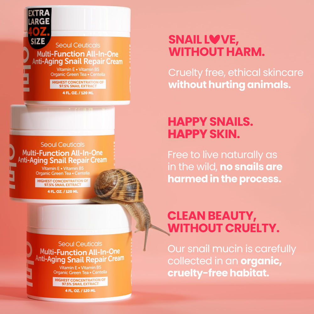 SeoulCeuticals day and night usage visual for routine.