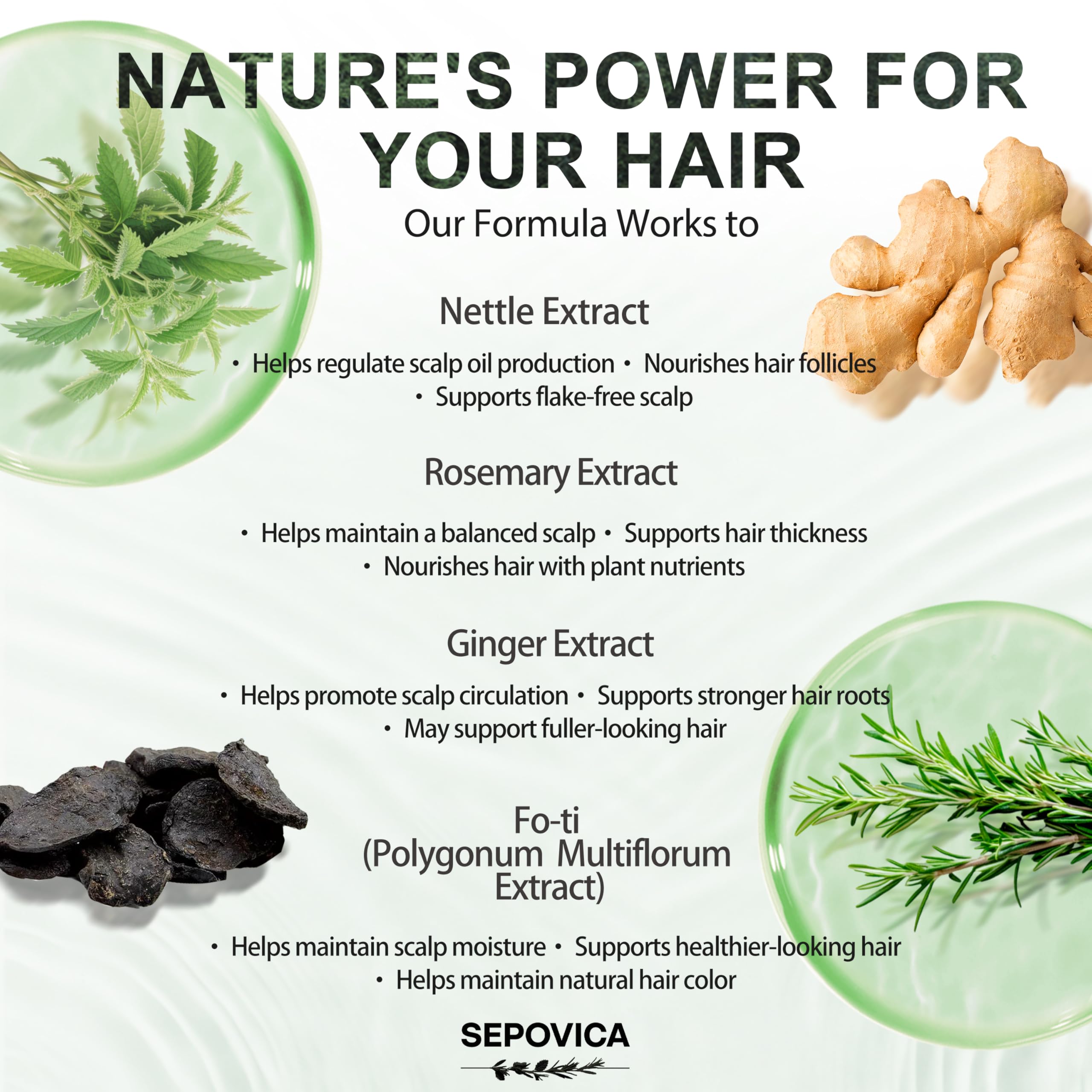 SEPOVICA shampoo close-up showing scalp care focus