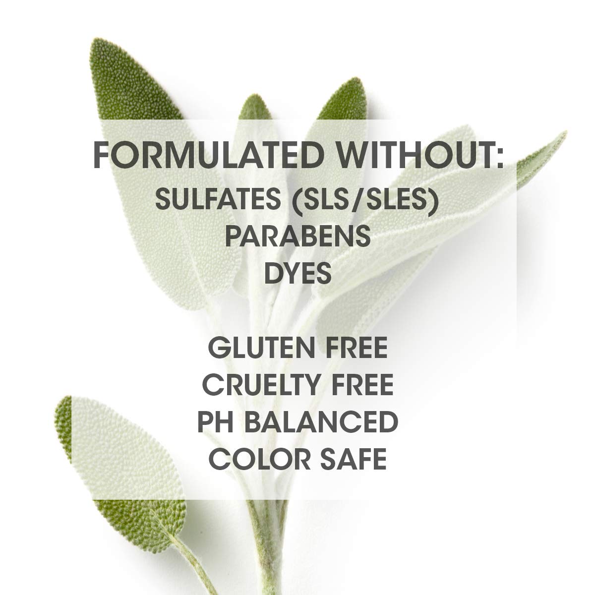 Highlighting hair separation for defined texture and natural movement.
