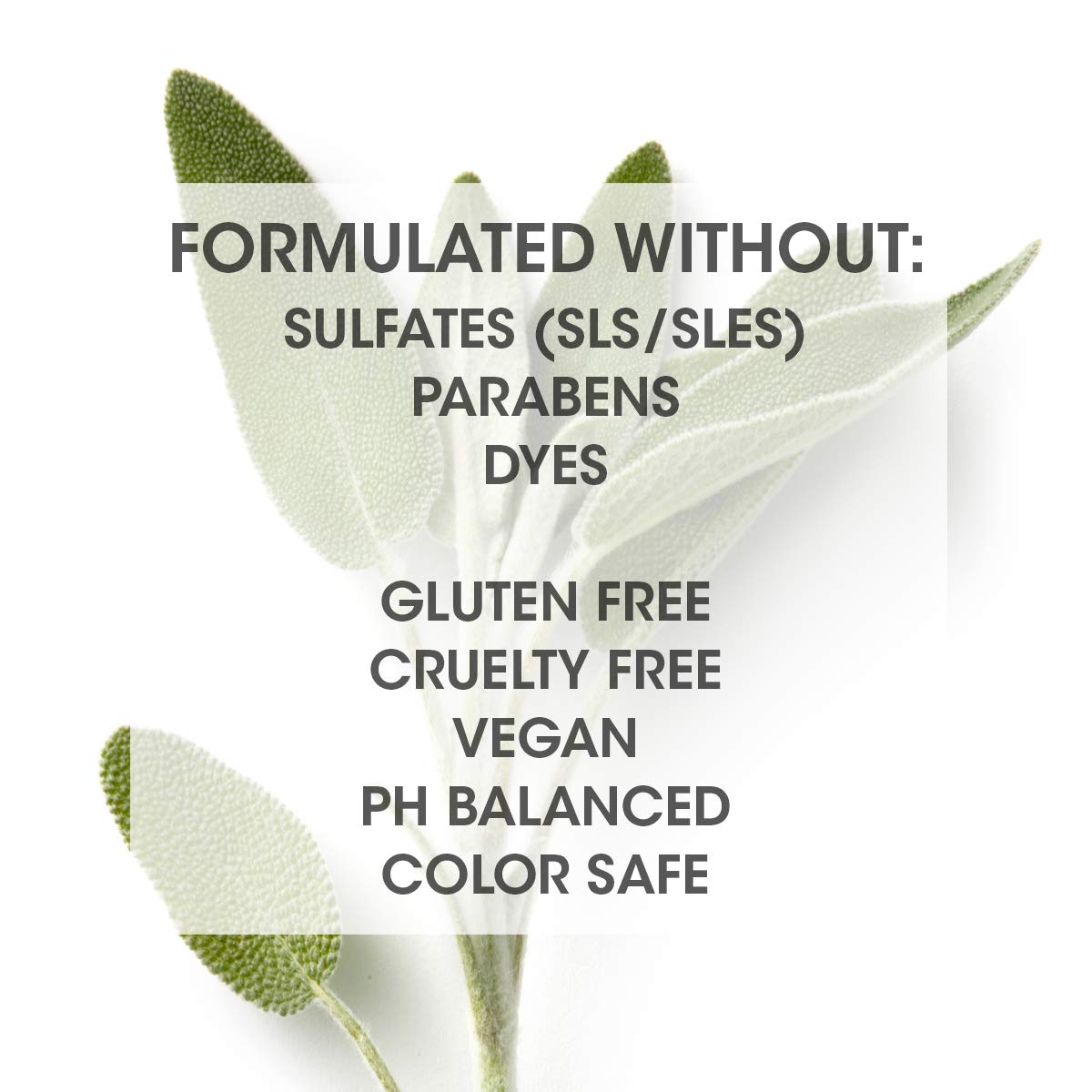 SEVEN Kente Bond bottle close-up highlighting Pro Vitamin B5 and quinoa