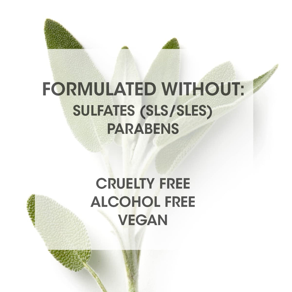 Close-up of aloe vera and cucumber ingredients in SEVEN KENTE SCULPT
