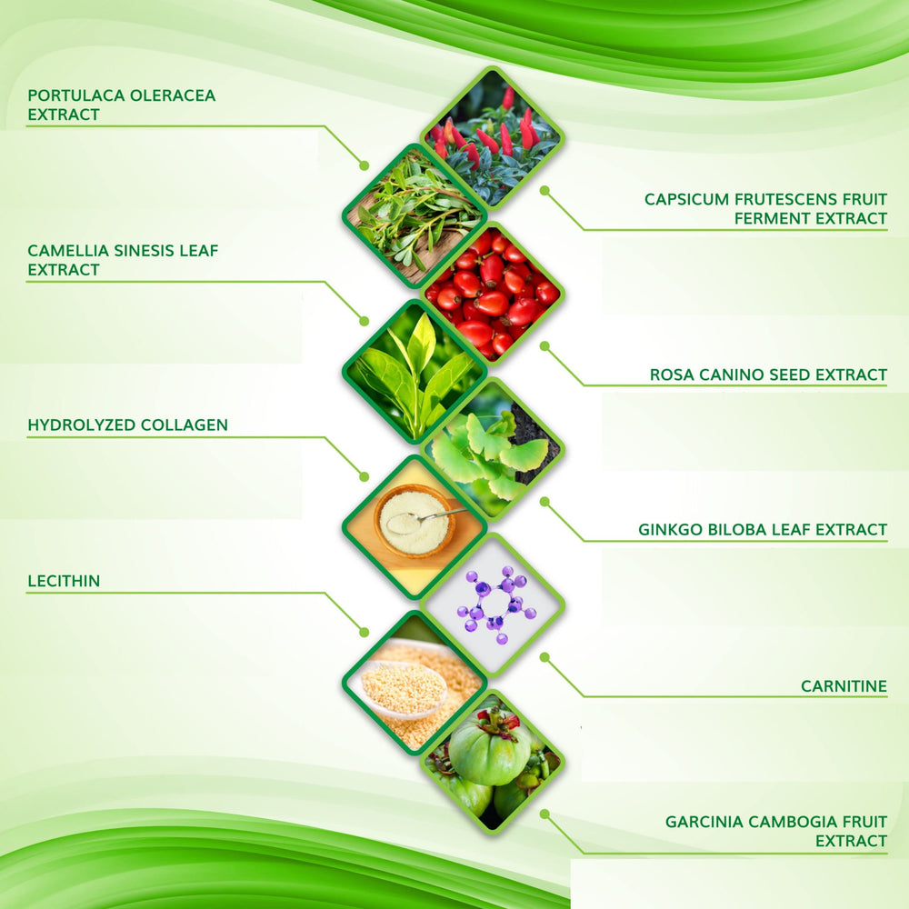 Shape and Tone Contouring Wrap packaging conveys natural ingredients and five wraps