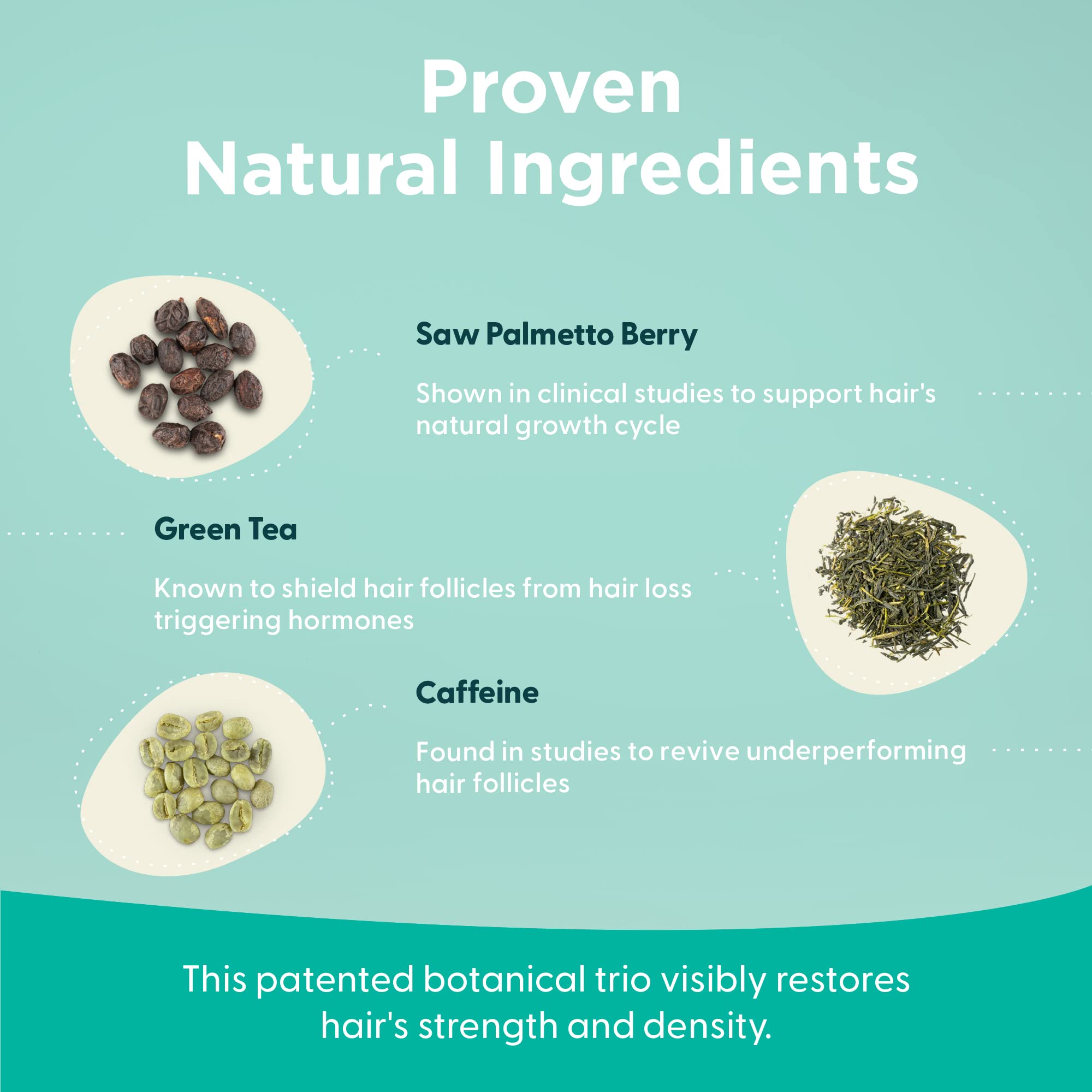 Shapiro MD dht blocking ingredients visual emphasizing natural actives
