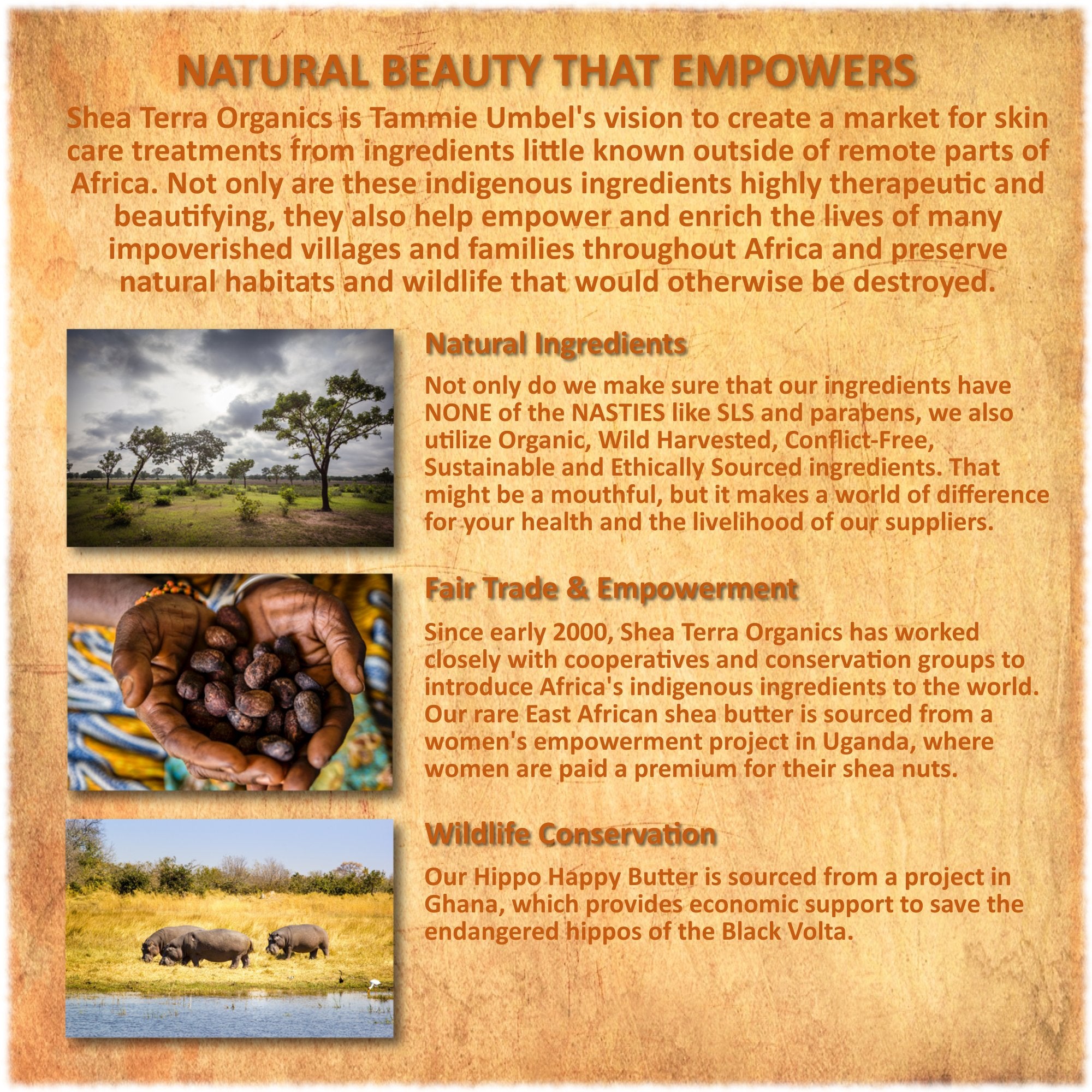 Shea Terra Organics gentle eye-area toner for calm, revitalized eyes.