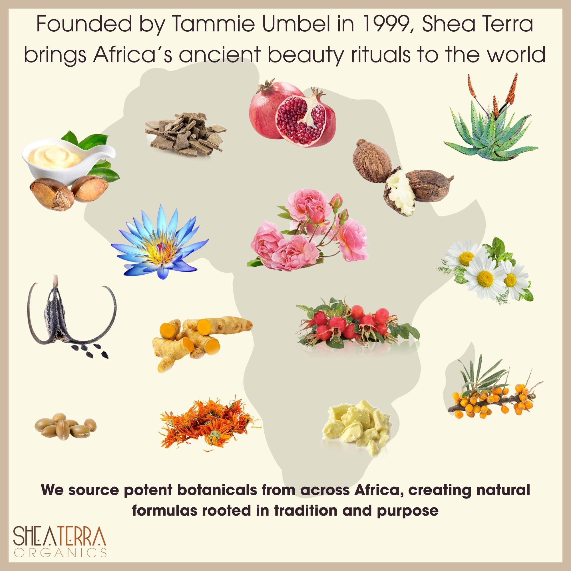 Shea Terra Madagascar Tamanu oil pour, illustrating lightweight daily moisturizer for skin.
