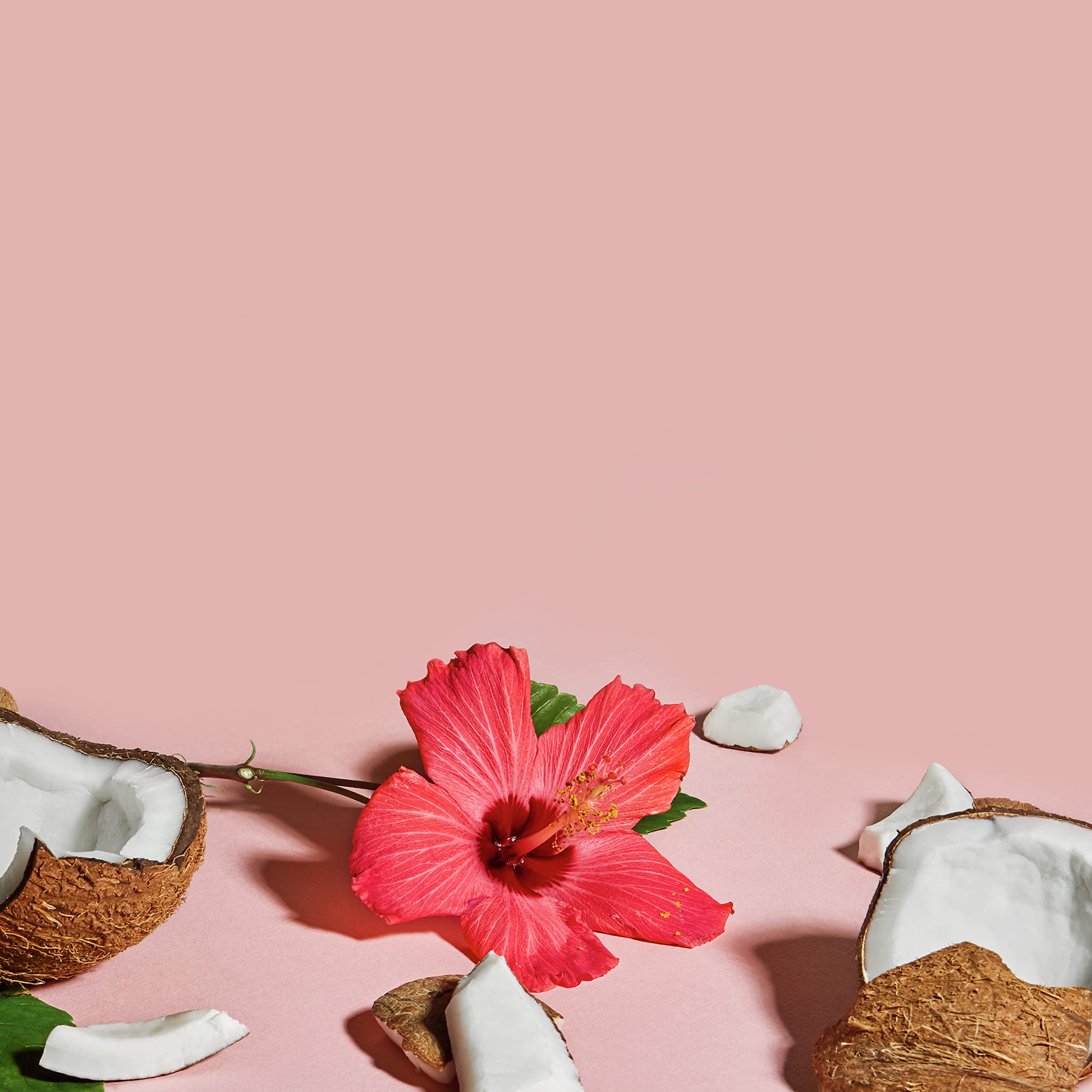 SheaMoisture Raw Shea Butter ingredient highlight for nourished shine.