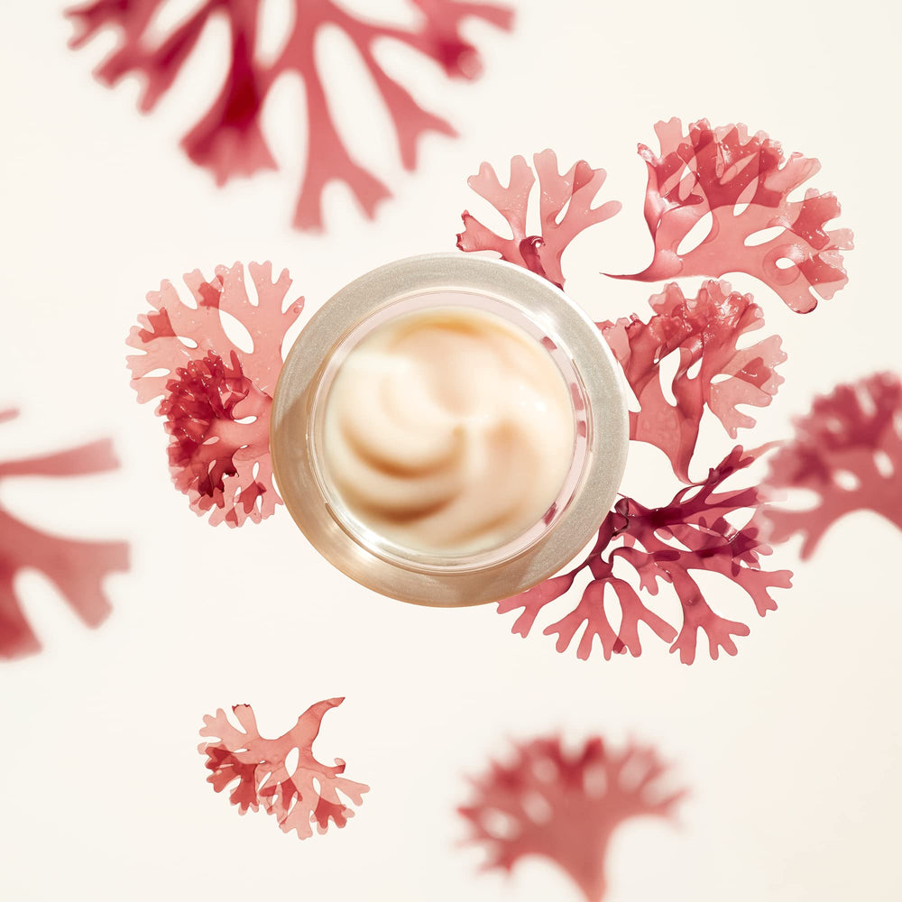 Morning and evening routine with Shiseido Benefiance wrinkle smoothing cream.