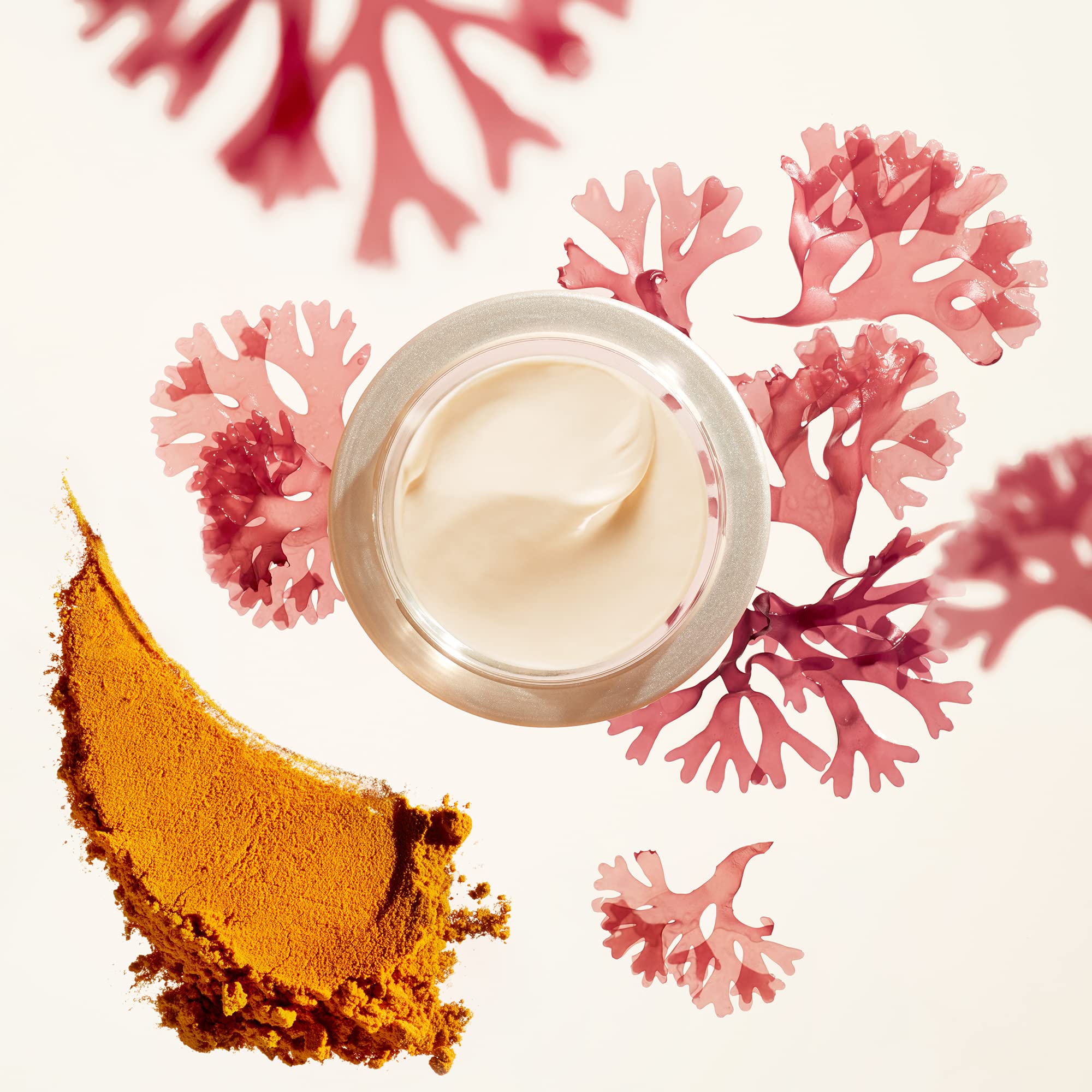 Close-up of Shiseido Benefiance Wrinkle Smoothing Day Cream jar