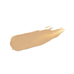 Shiseido UV Protective Stick Foundation application demonstrating on-the-go coverage.