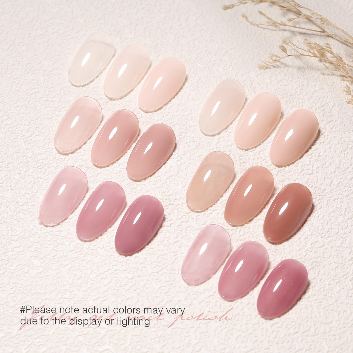 SHOYUM Jelly Nude color palette display of six translucent shades