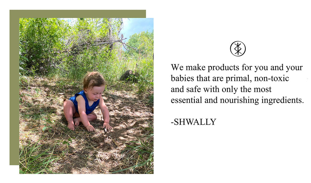 Shwally Primal Beauty Squalane Face Balm ingredients close-up shows four organic components