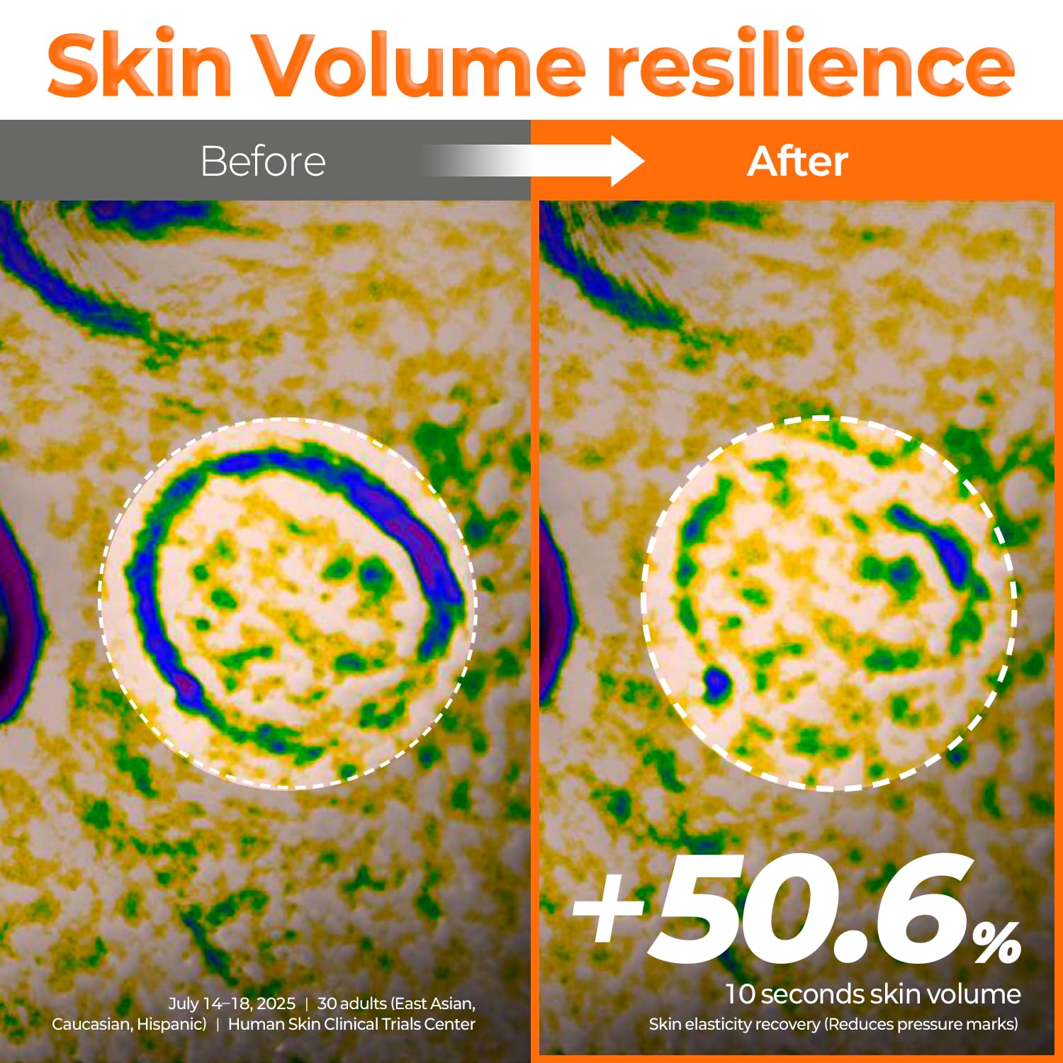 Signiq Peptide Bounce Up Cream ginger peptide ingredient highlights antioxidant protection