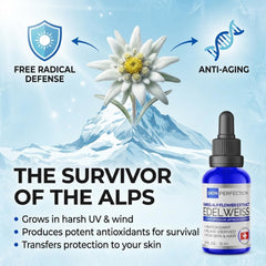 Skin Perfection Edelweiss flower Alps image signaling natural antioxidant power