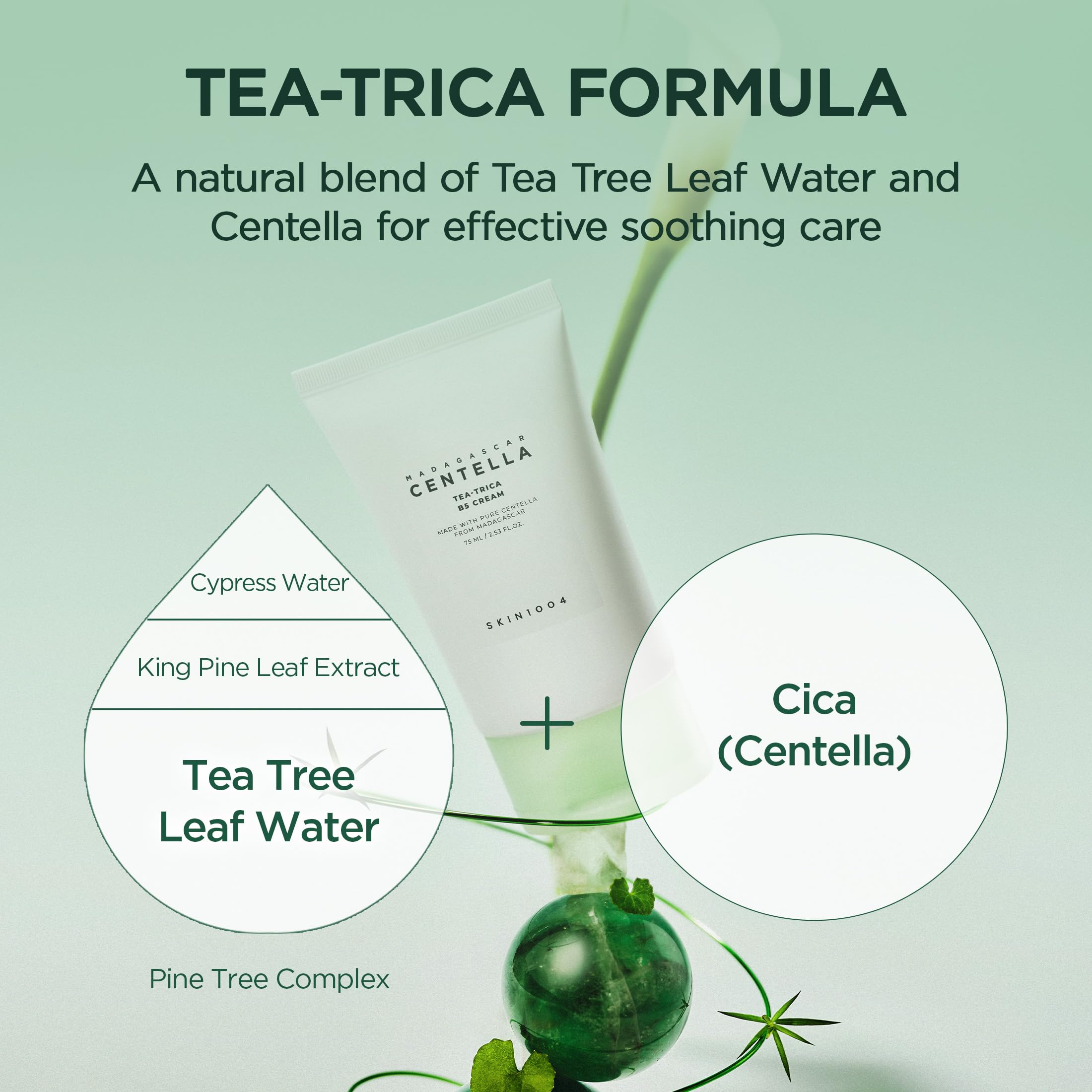 SKIN1004 Tea-Trica B5 Cream centella ingredients close-up