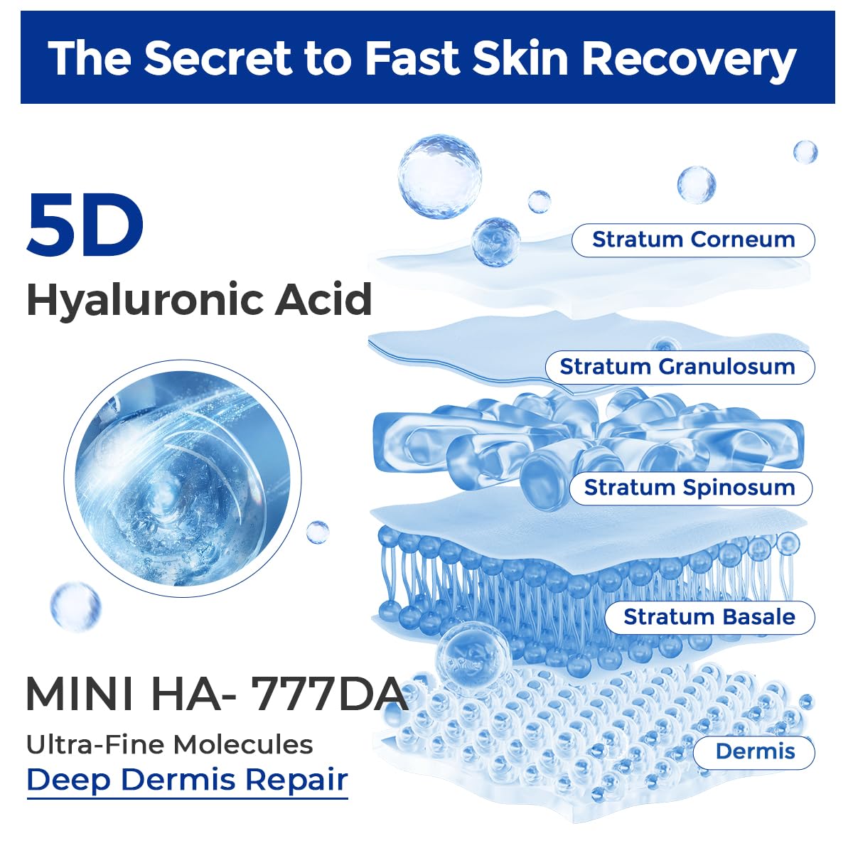 Skinerse 5D hyaluronic acid close-up illustrating deep hydration