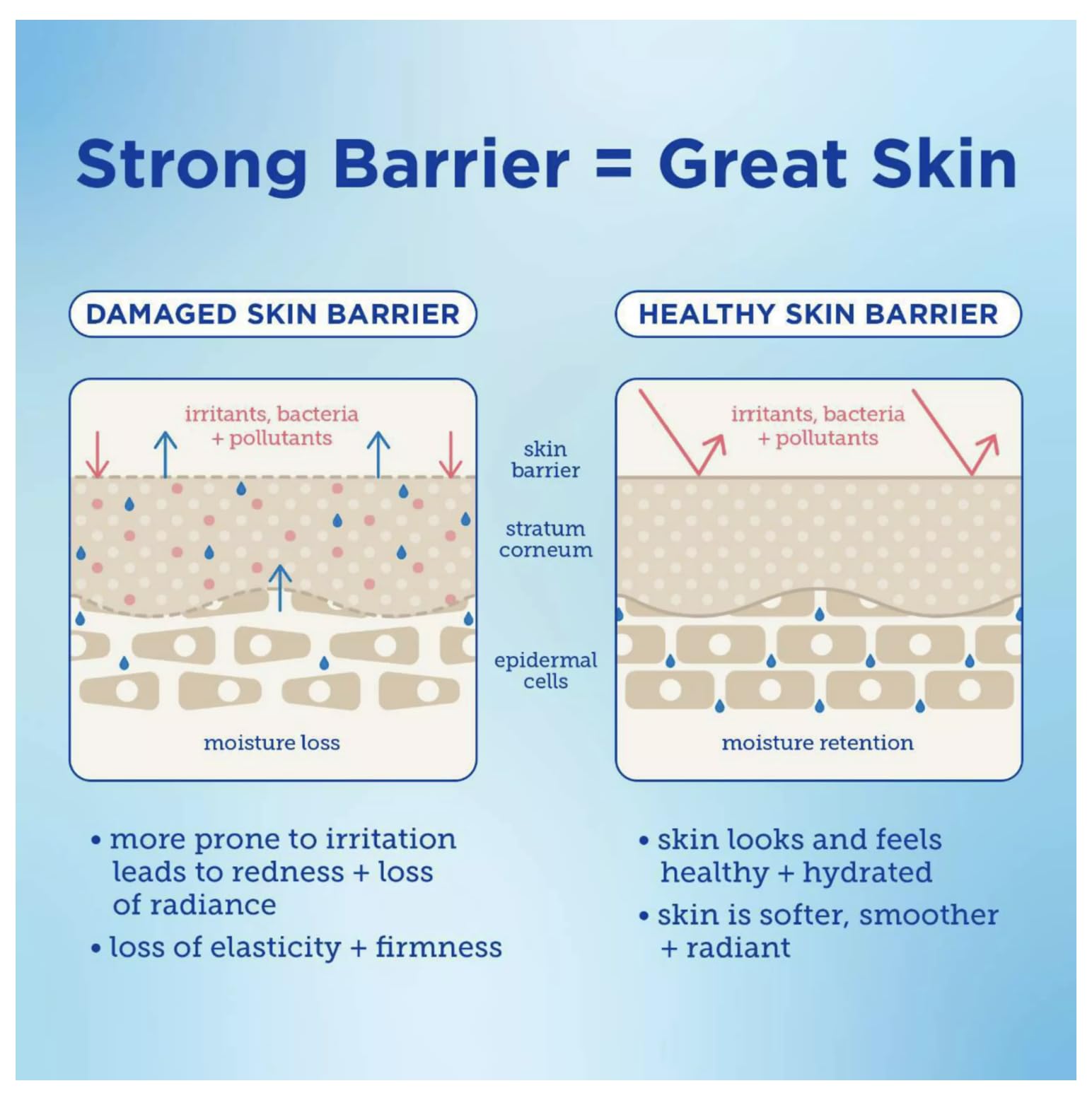 Skinfix Barrier Buddies duo shown together for nourishing skincare ritual.