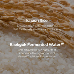 SKINFOOD 1957 heritage branding emphasizing Korean skincare legacy