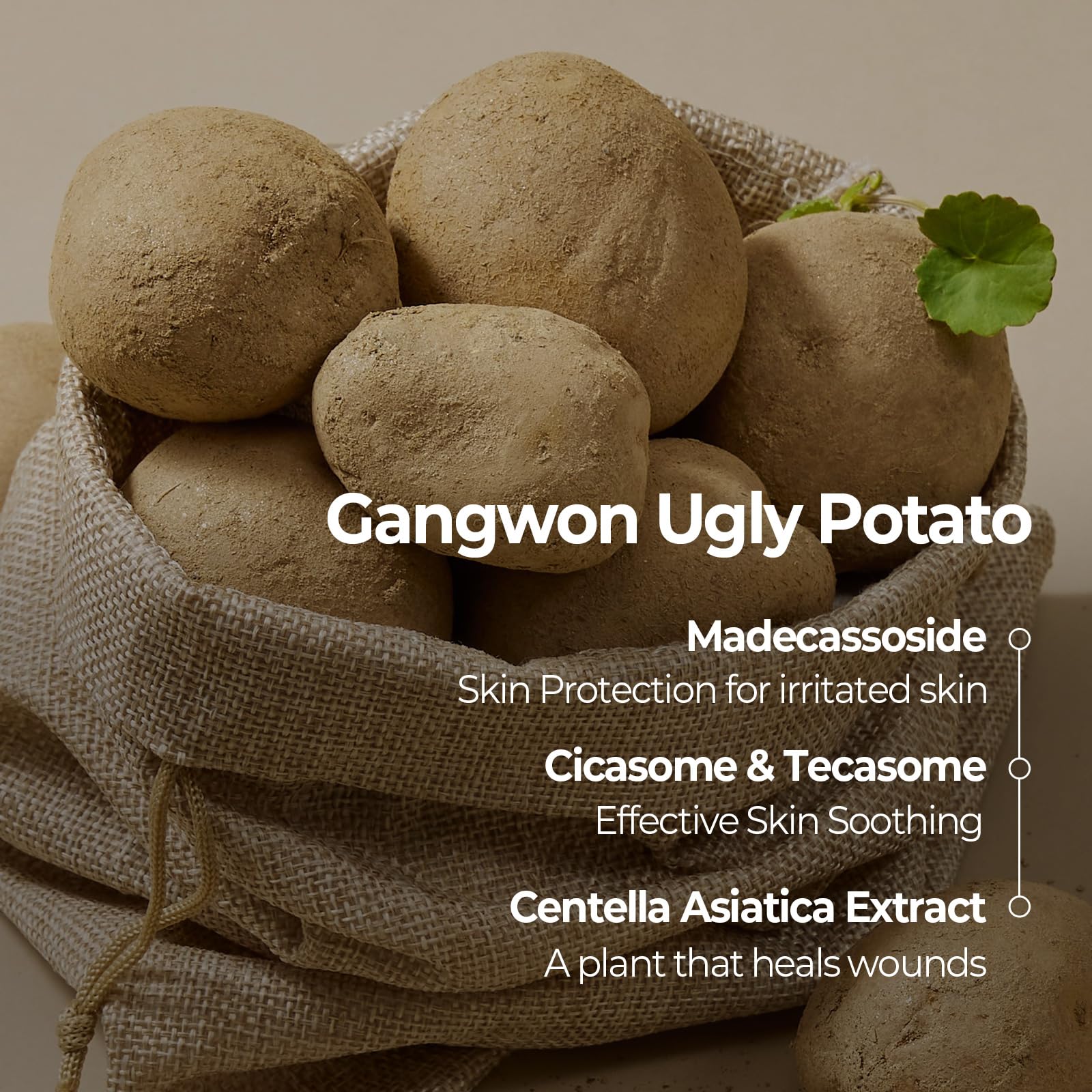 SKINFOOD Potato Madecassoside Daily Sheet Mask closeup ingredients featuring Madecassoside and potato extract.