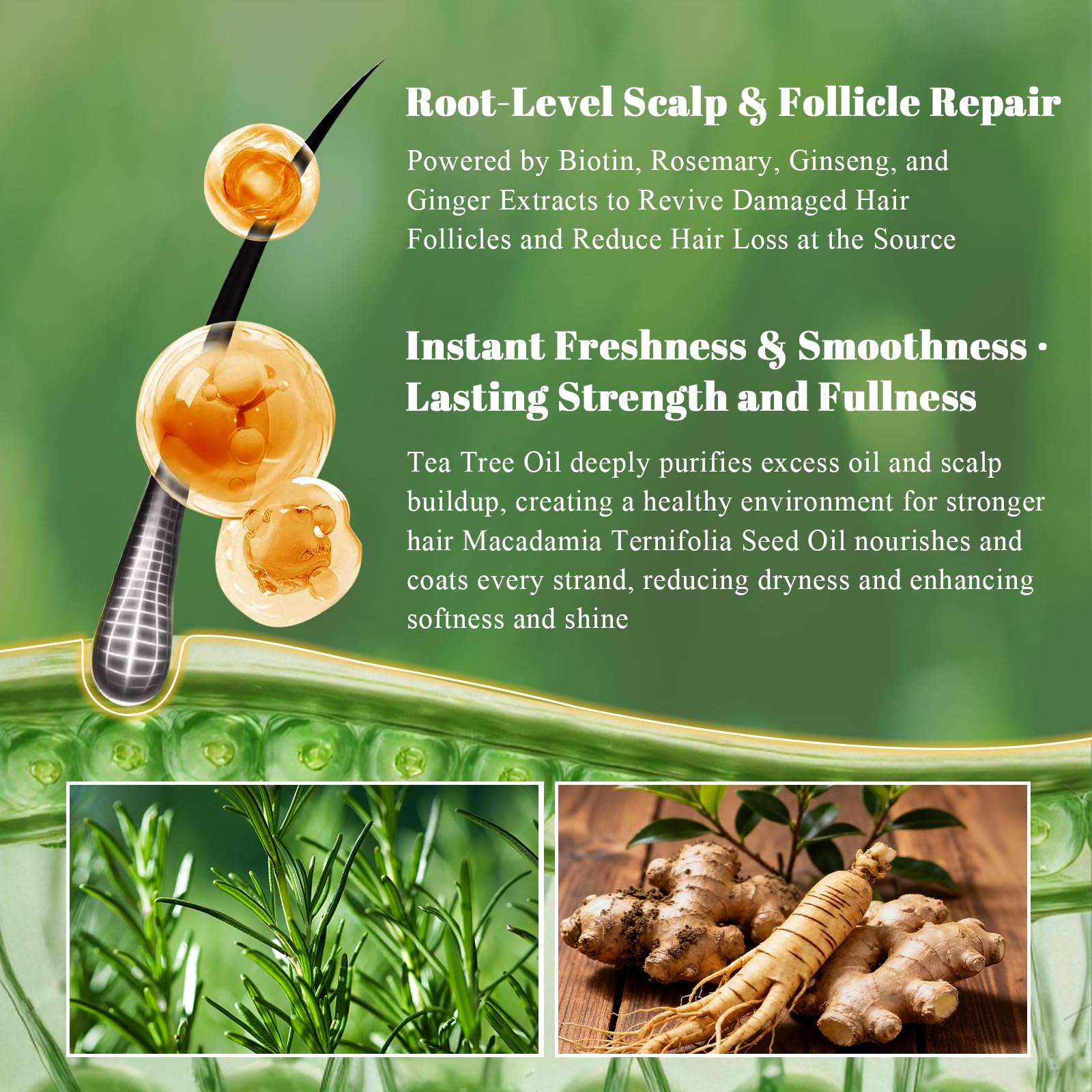 Close-up of SKUPHI shampoo label showing rosemary and amino acids for balanced cleansing