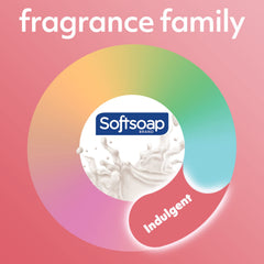 Softsoap pump bottle demonstrates easy hand lather for daily use.