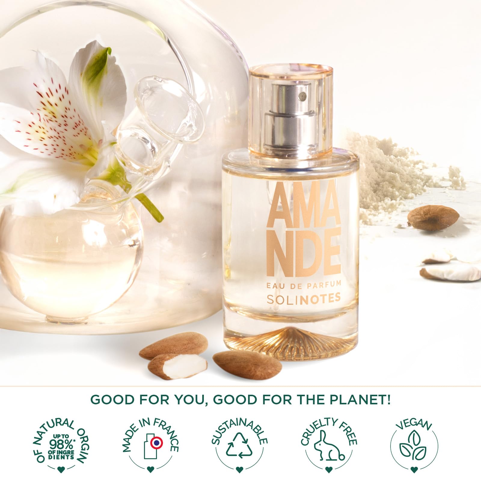 Solinotes Almond perfume ingredients visual featuring jasmine, tonka bean, sandalwood