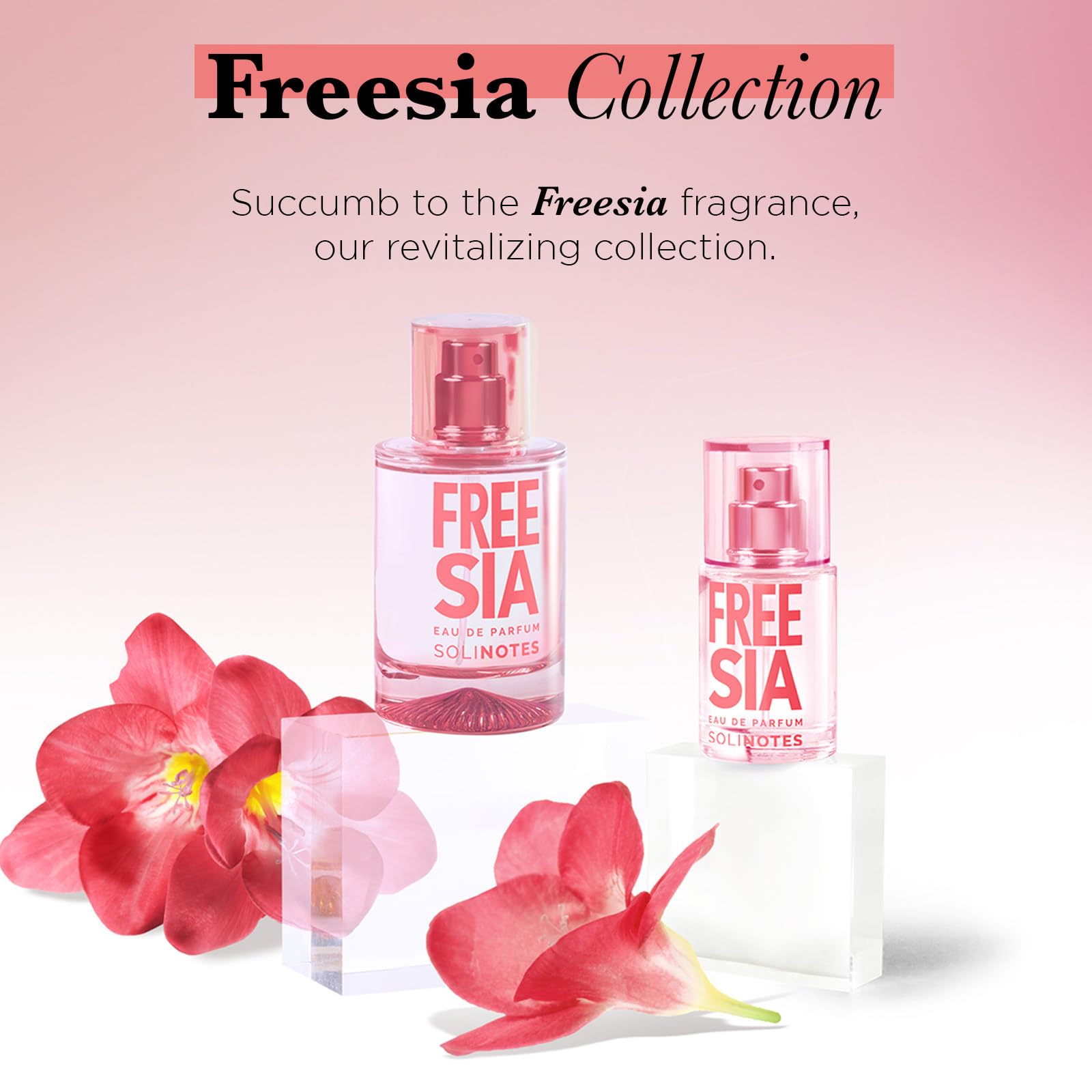 Solinotes Freesia made in France packaging in stylish display