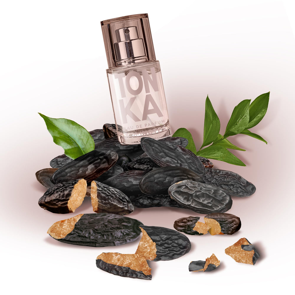 Solinotes Tonka perfume mandarin blossom close-up hints at citrus freshness.
