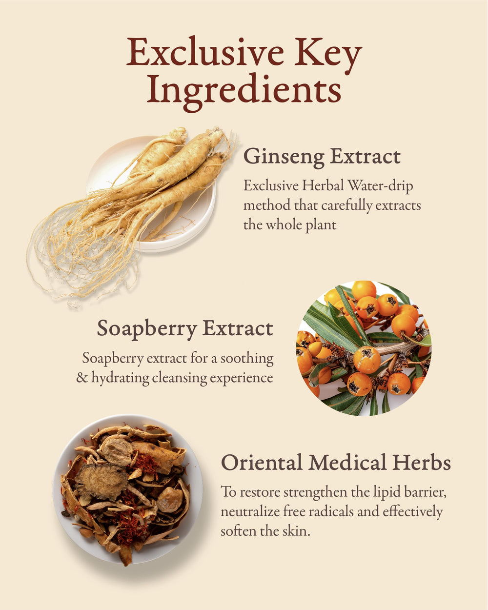 Sooryehan Bon Cleansing Foam hydration ginseng highlighting moisture balance