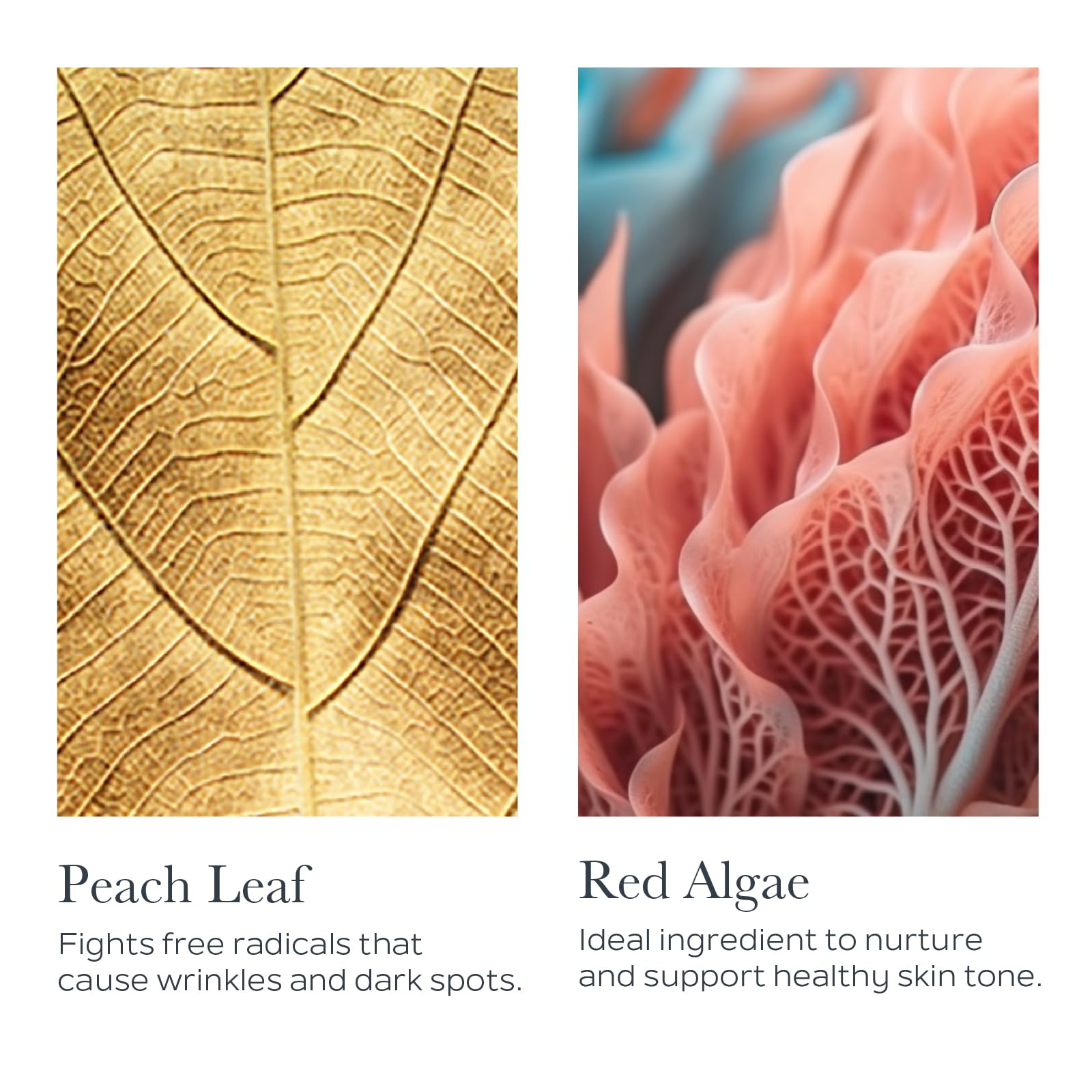 SOTHYS La Crème Premium Youth Cream texture spread showing satin finish