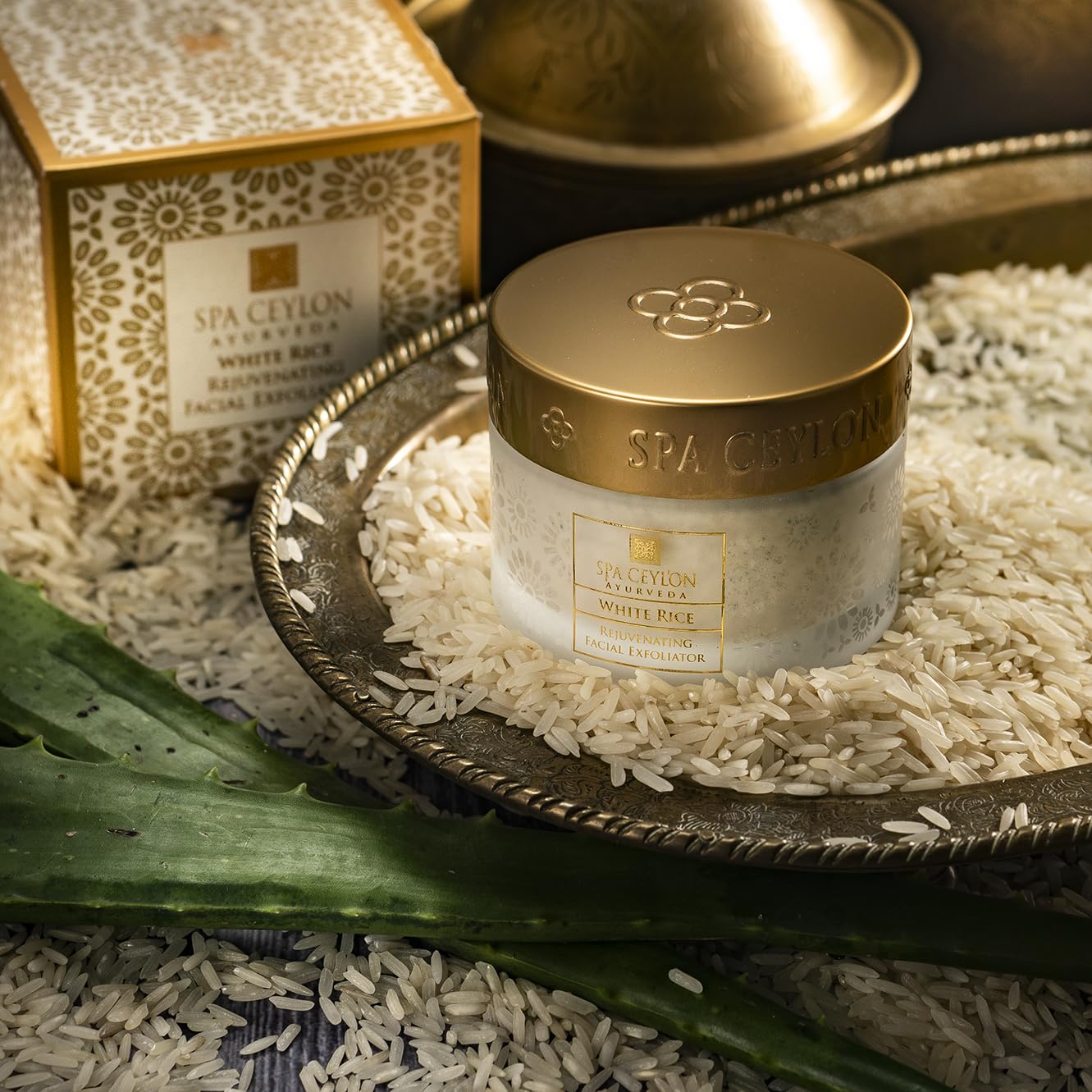 Ingredient spotlight on rice bran oil and gamma-oryzanol benefits for care