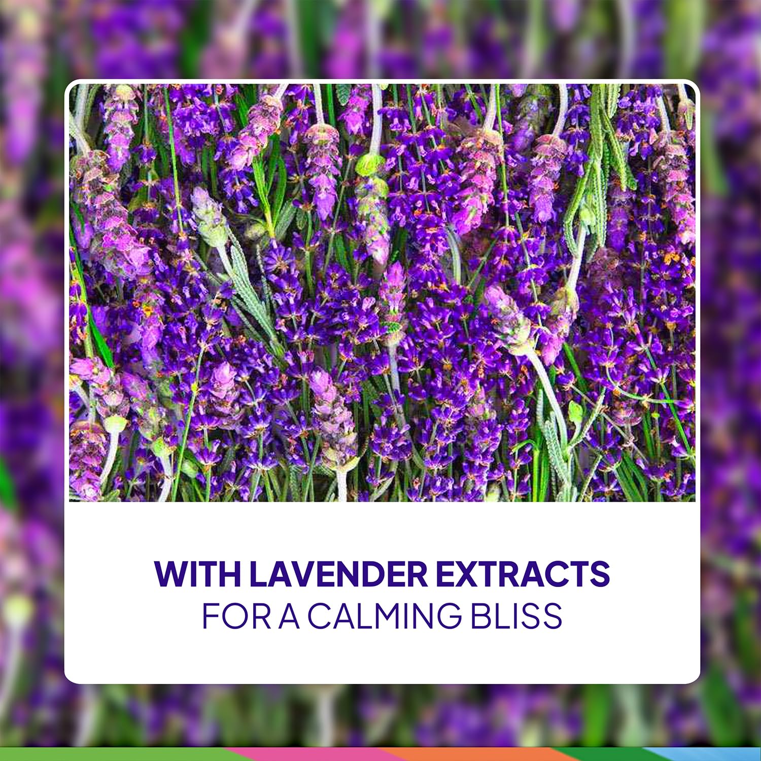 St. Ives Lavender Chamomile 2-pack packaging for value and convenience.