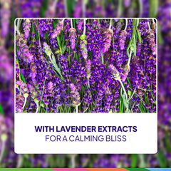 St. Ives Lavender Chamomile 2-pack packaging for value and convenience.