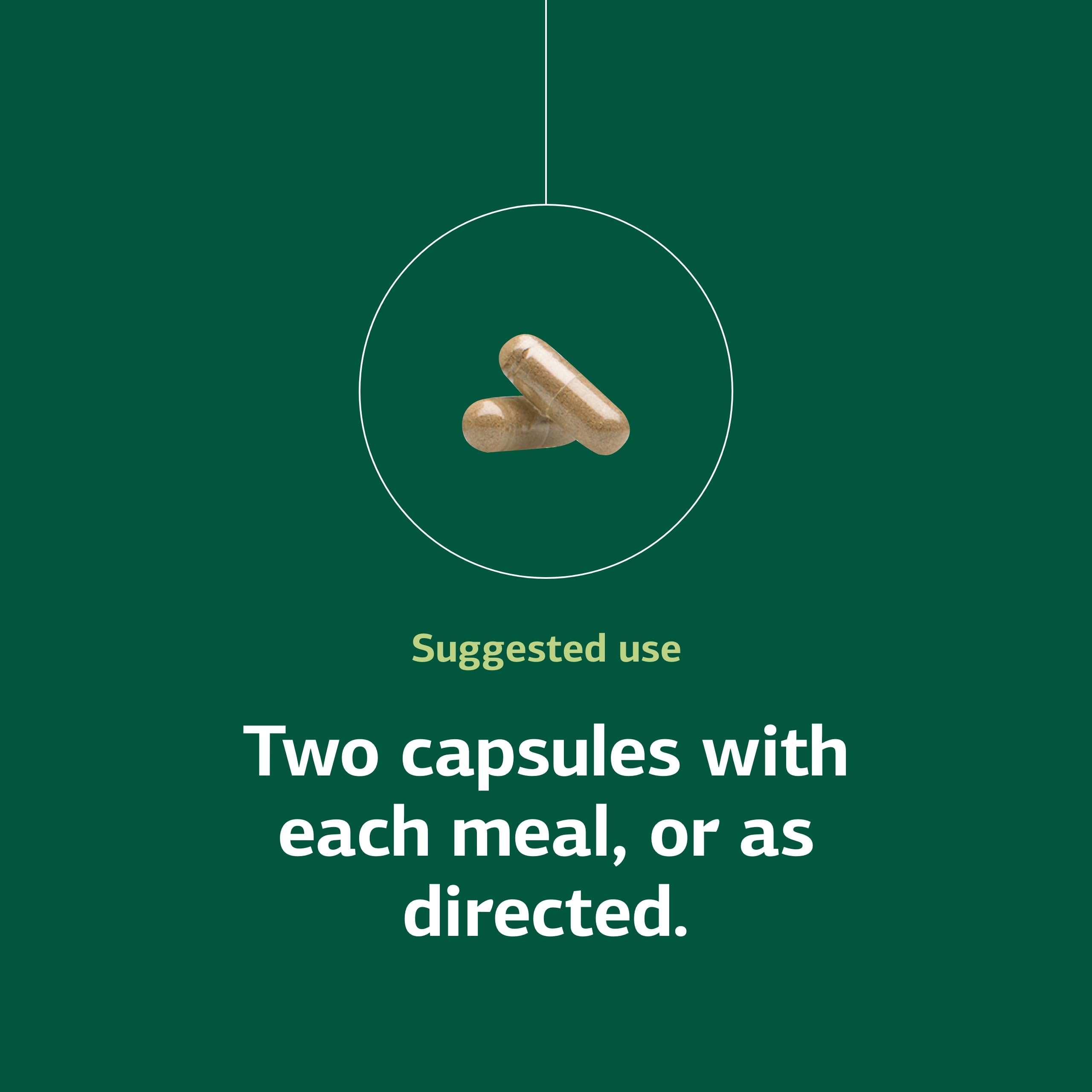 Standard Process Zymex capsules in hand suggesting convenient on-the-go use