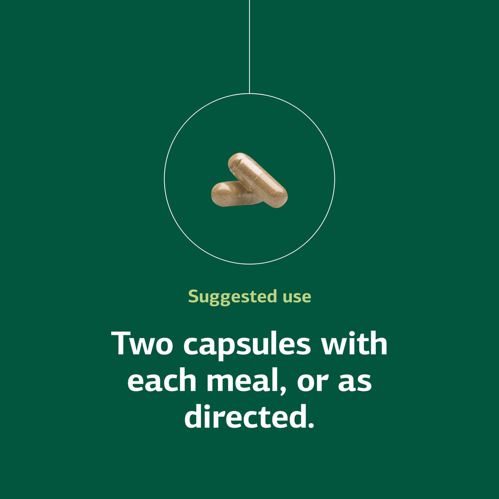 Standard Process Zymex capsules in hand suggesting convenient on-the-go use