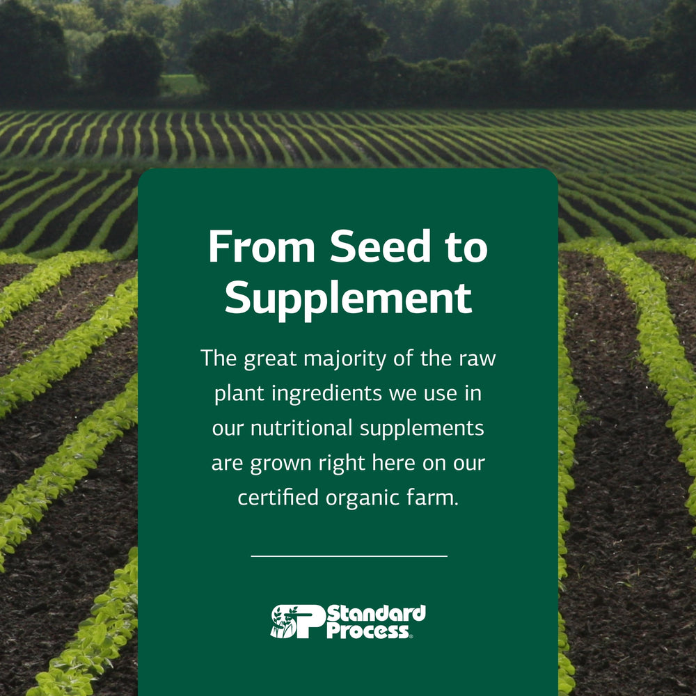 Standard Process Zymex capsules on shelf conveying natural whole-food formula