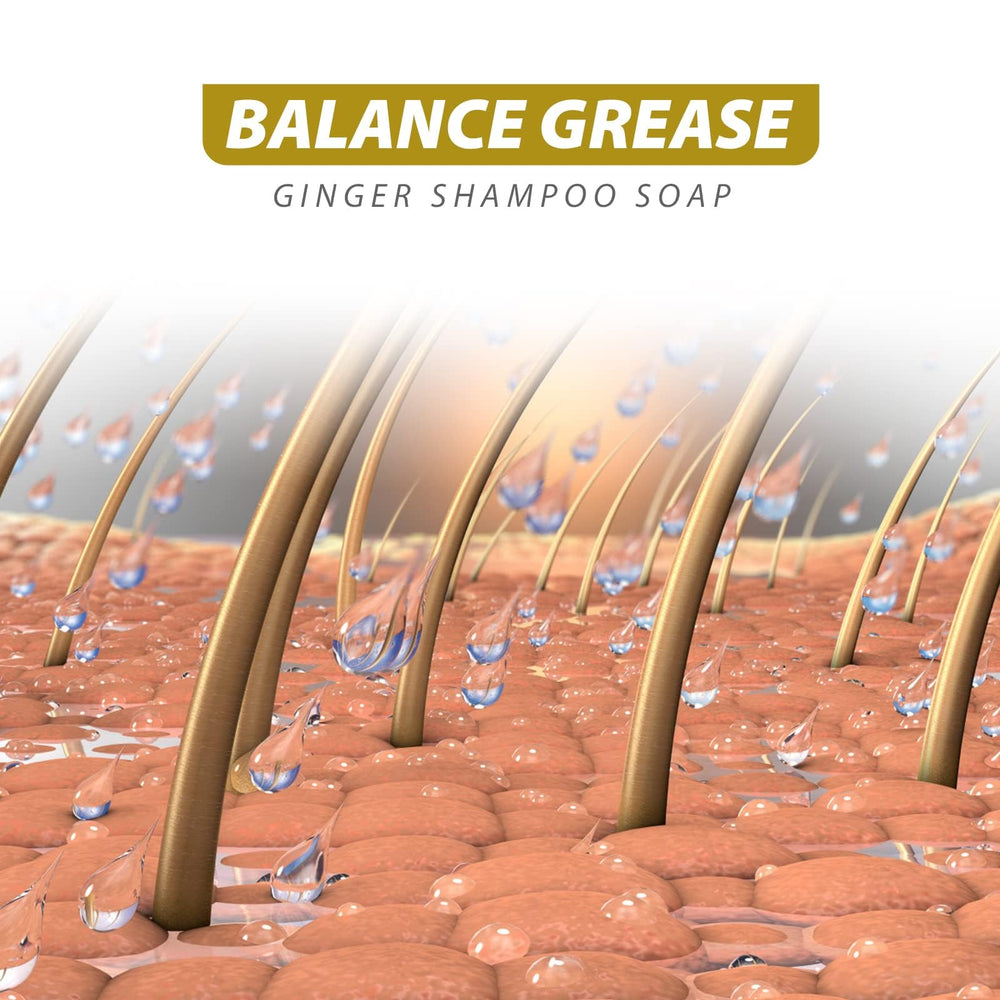 Starhig ginger hair regrowth shampoo bar ingredients include ginger and camellia for nourishment.
