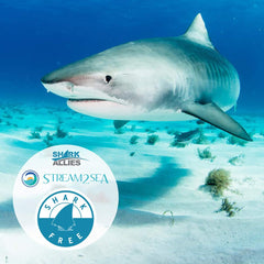 STREAM 2 SEA vitamin E infused moisturizer adds smoothness and nourishment.