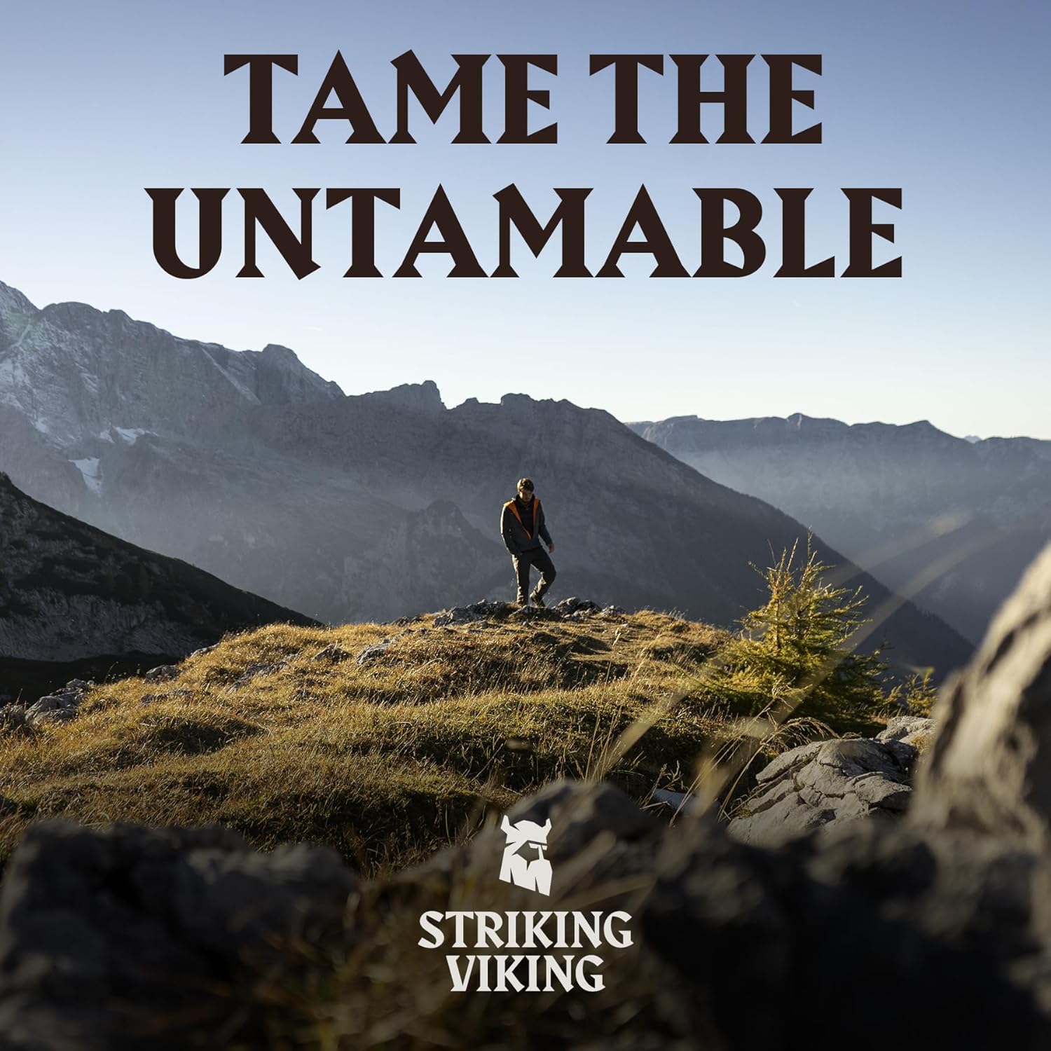 Striking Viking vanilla balm on shelf display for daily routine use.