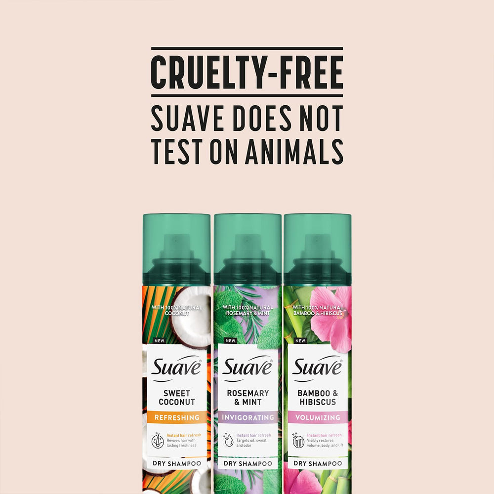 Packaging display of Suave dry shampoo showing three scents