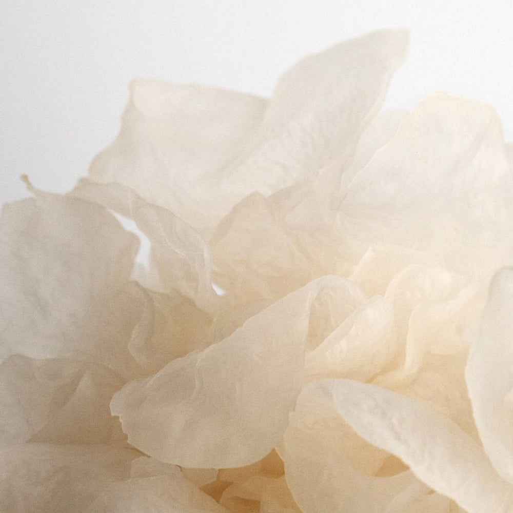 SUPEREGG Tremella mushroom and hyaluronic acid provide deep hydration.