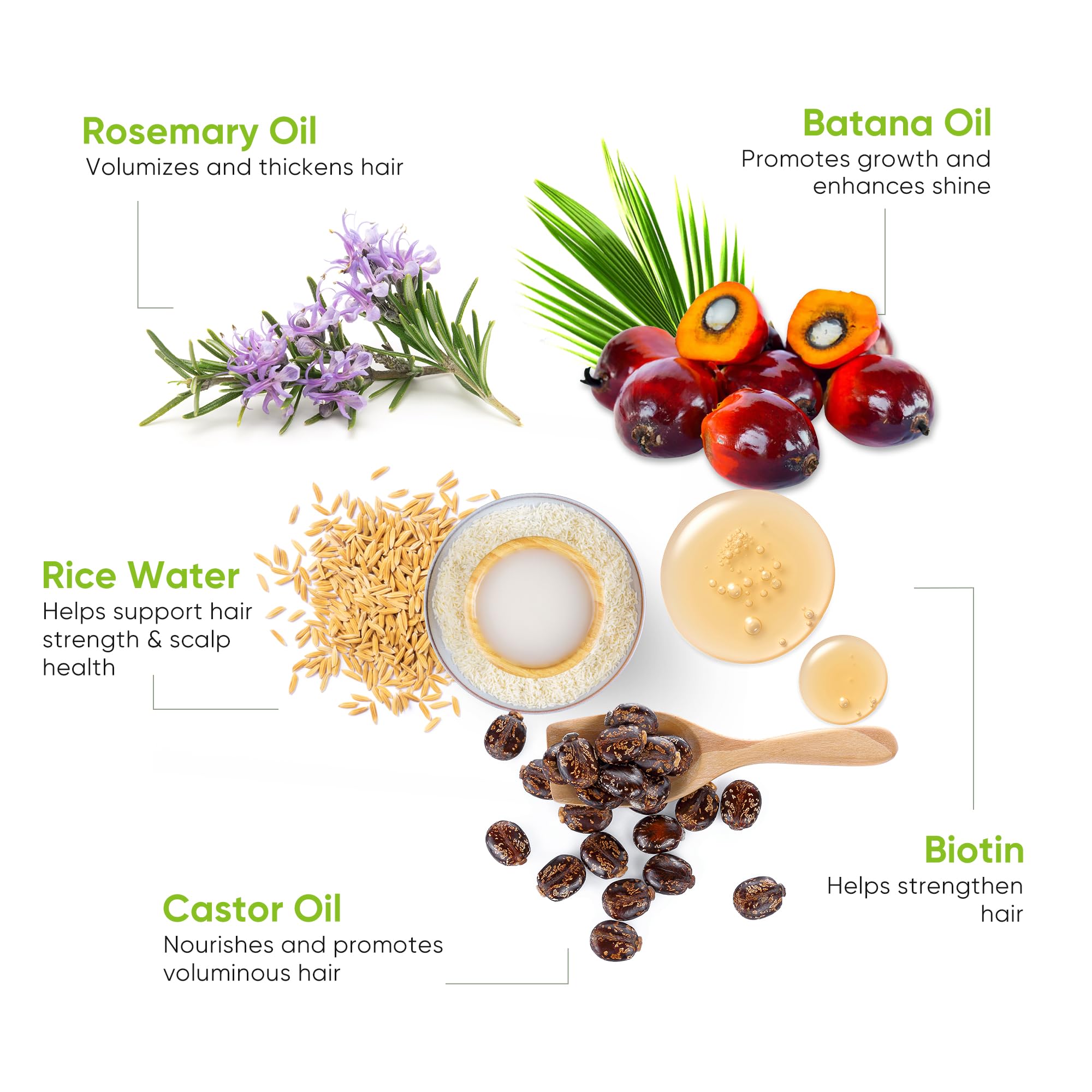 Svvimer biotin caffeine ingredients highlight nourishment and fullness.