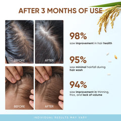 Svvimer citrus peel and ginger extracts highlight natural vitality in formula