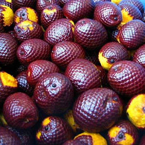 Sweet Essentials Buriti oil dropper enables easy daily hydration.