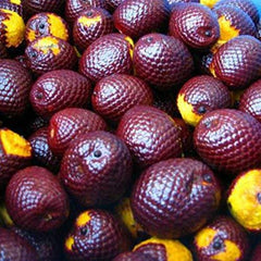 Sweet Essentials Buriti oil dropper enables easy daily hydration.