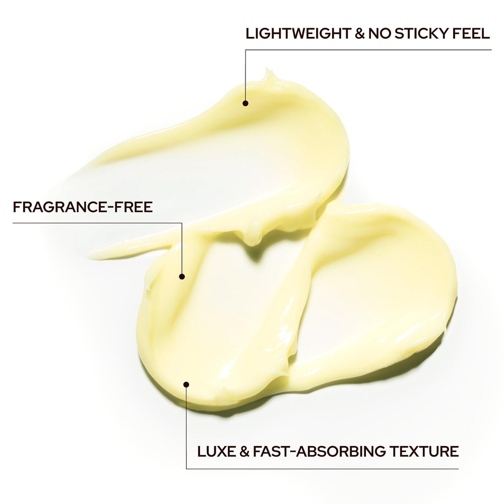 SWIZON green tea antioxidant detail highlights protection against environmental stress
