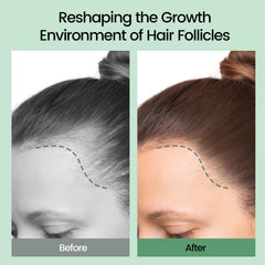 Sysni Rosemary Tea Tree Keratin Shampoo key ingredients highlight rosemary and tea tree